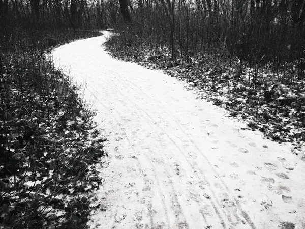 Snowy way through the park, late autumn