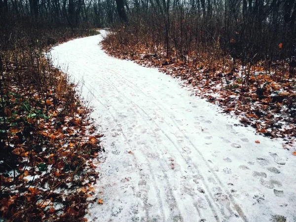 Camino Nevado Través Del Parque Finales Otoño —  Fotos de Stock