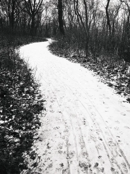 Śnieżna Ścieżka Przez Park Naturalne Tło Późna Jesień — Zdjęcie stockowe