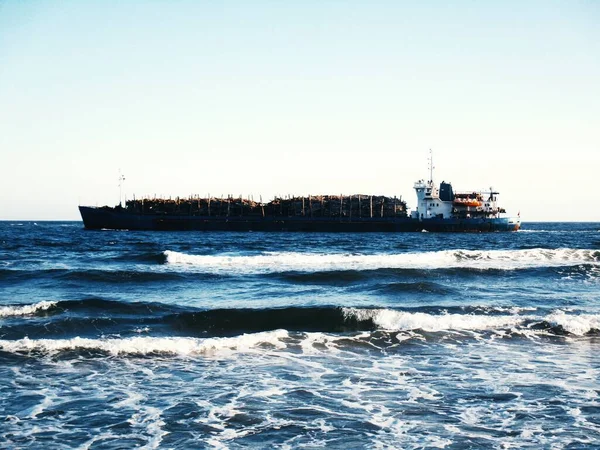 Dry cargo ship transporting wood over the Black Sea