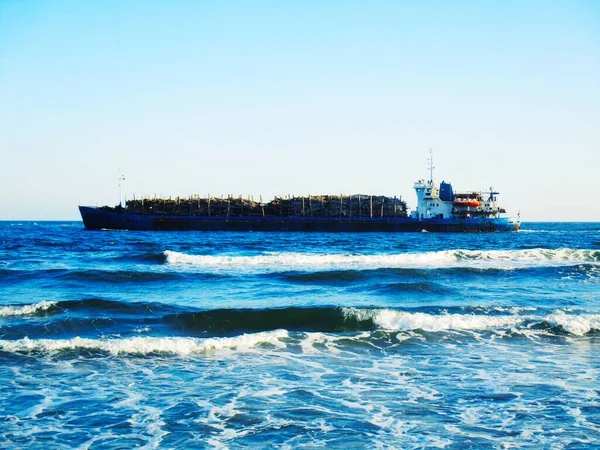 Dry Cargo Ship Transporting Wood Black Sea — Stock Photo, Image