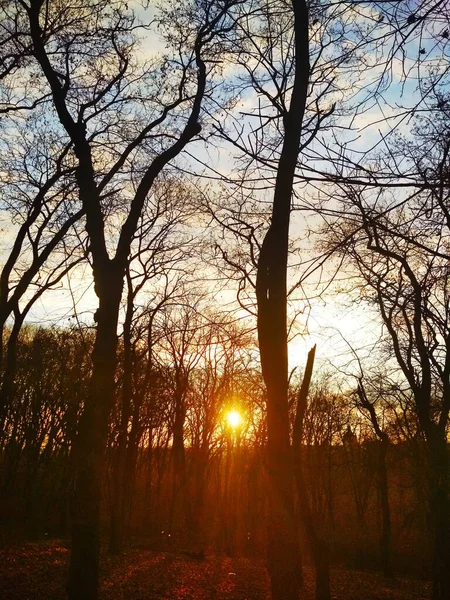 Pôr Sol Parque Fundo Natural — Fotografia de Stock