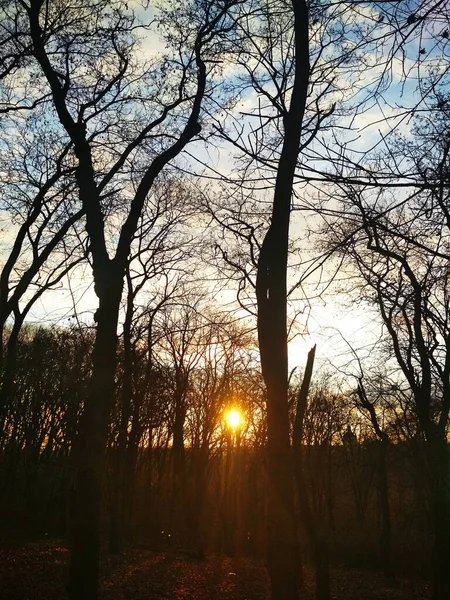 Pôr Sol Parque Fundo Natural — Fotografia de Stock