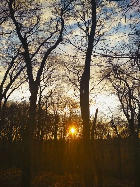 Atardecer Parque Fondo Natural — Foto de Stock