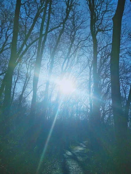 Sonniges Kreuz Die Sonne Scheint Bei Sonnenaufgang Hell Durch Kahle — Stockfoto