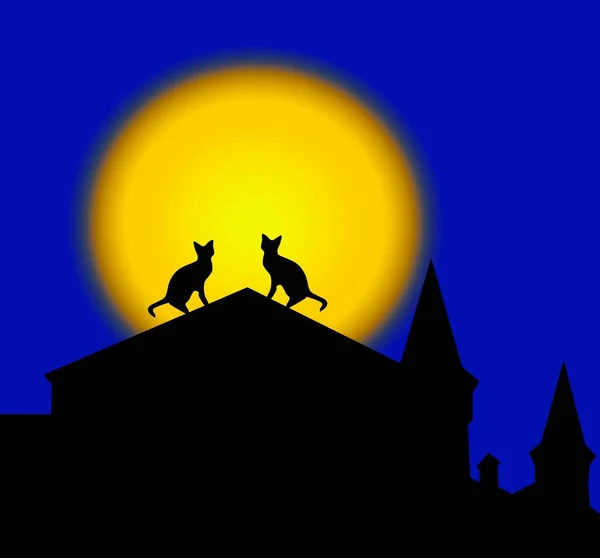 Silhouetten Eines Katzenpaares Auf Dem Dach Vor Dem Hintergrund Des — Stockfoto
