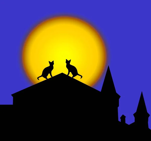 在满月的背景下 一对猫坐在屋顶上的轮廓 — 图库照片