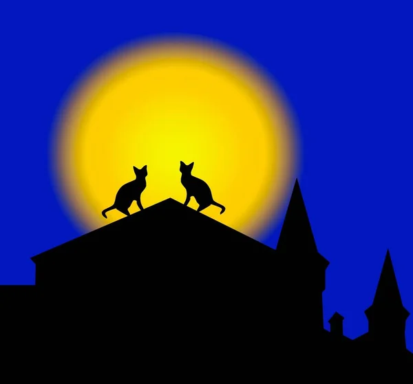在满月的背景下 一对猫坐在屋顶上的轮廓 — 图库照片