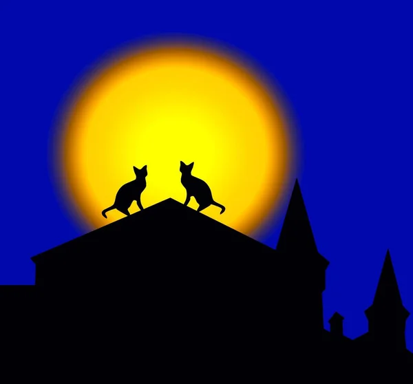 満月を背景に屋根の上に座って猫のペアのシルエット — ストック写真