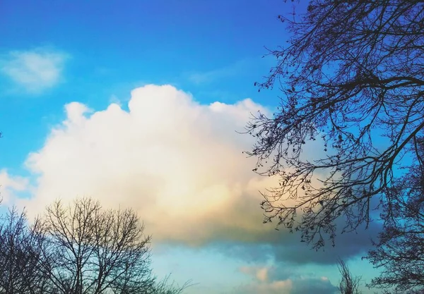 Uma Nuvem Pendurada Céu Dia Fresco Inverno Fundo Natural — Fotografia de Stock