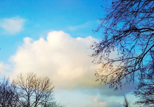 Uma Nuvem Pendurada Céu Dia Fresco Inverno Fundo Natural — Fotografia de Stock
