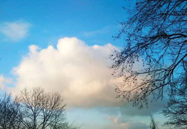 Wool Pack Cloud Hanging Sky Cool Winter Day Natural Background — Stock Photo, Image