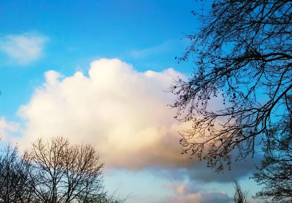 Uma Nuvem Pendurada Céu Dia Fresco Inverno Fundo Natural — Fotografia de Stock