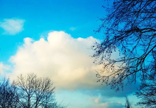 Una Nuvola Lana Appesa Cielo Una Fresca Giornata Invernale Sfondo — Foto Stock