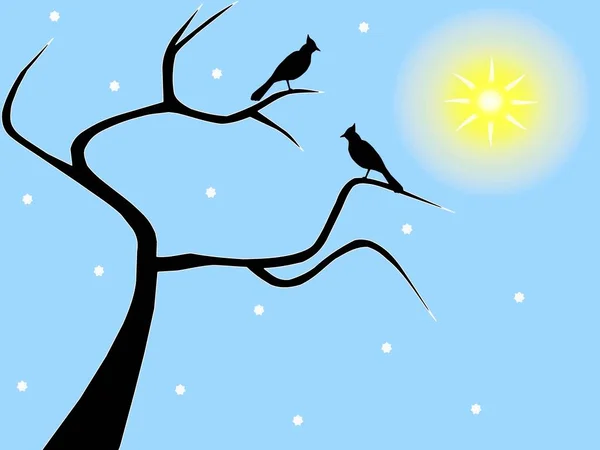 Par Pássaros Sentados Árvores Inverno Nuas Dia Ensolarado Neve — Fotografia de Stock