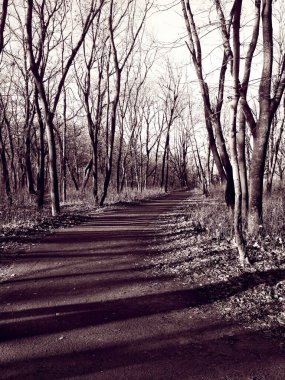 Parlak bir kış gününde, doğal bir arka planda, kış parkını soydular. 