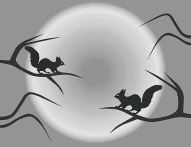 Karşısındaki çıplak ağaçlarda oturan bir çift sincap parlak güneşin arka planına yaslanmış, klipsli sanat. 