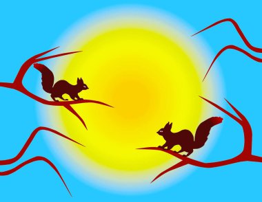 Karşısındaki çıplak ağaçlarda oturan bir çift sincap parlak güneşin arka planına yaslanmış, klipsli sanat. 