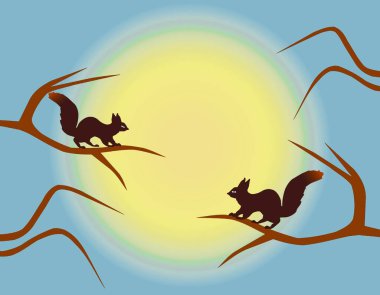 Karşısındaki çıplak ağaçlarda oturan bir çift sincap parlak güneşin arka planına yaslanmış, klipsli sanat. 