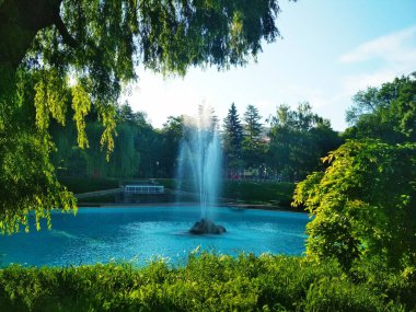 Şehir parkındaki çeşme, Kamenets-Podolsky, Ukrayna 