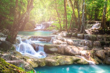 Derin ormanın içinde güzel şelale