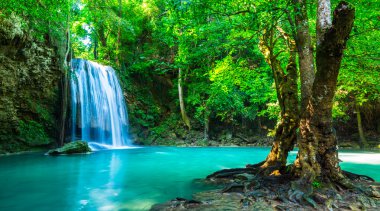 Güzel şelale Tayland Ulusal Parkı'nda
