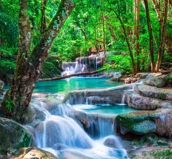 Beautiful waterfall in The tropical forest