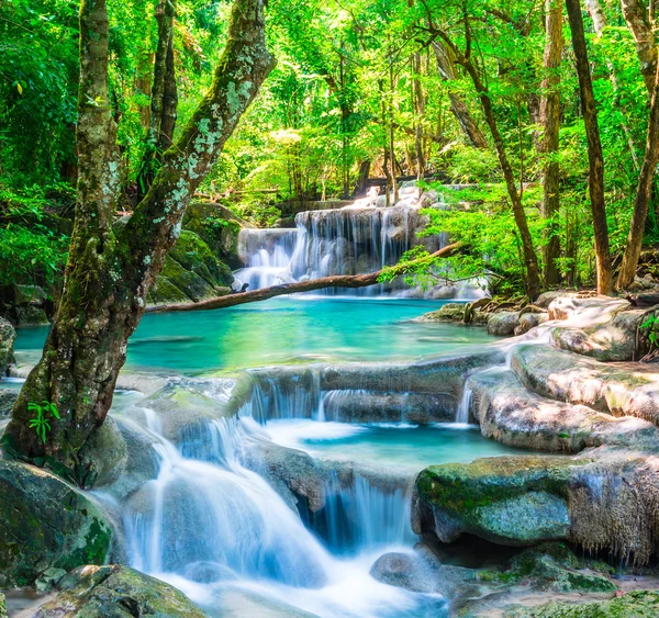 Cachoeira fresca na floresta profunda — Fotografia de Stock