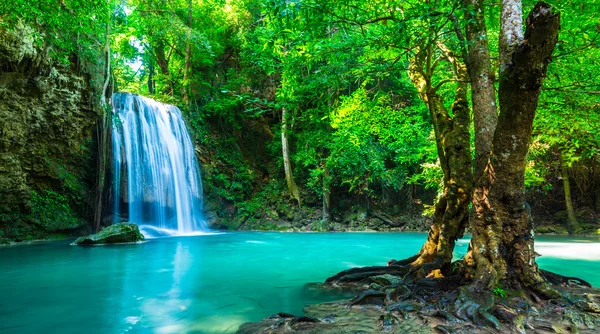 Güzel şelale Tayland Ulusal Parkı'nda