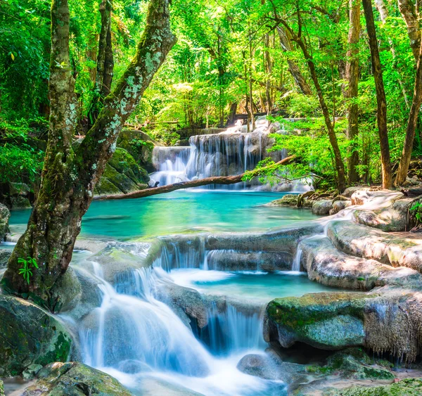 Cool waterfall in deep forest Stock Picture