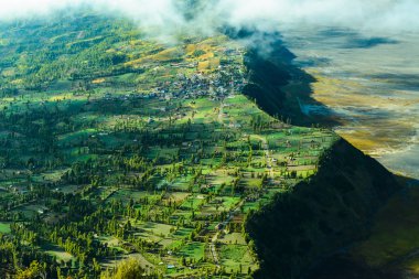 Highland village in Bromo, East Java, Indonesia clipart
