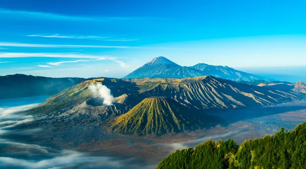 Monte Bromo vulcão durante o nascer do sol, a vista magnífica do Monte . — Fotografia de Stock