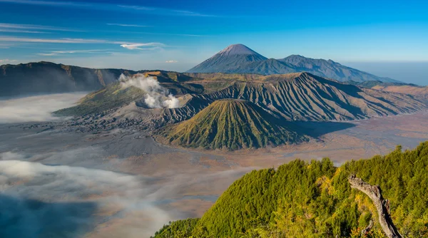 Volcan Mount Bromo au lever du soleil, Java Est, Indonésie . — Photo