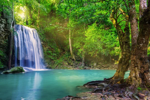 Şelale tropikal ormandaki nerede Tayland Ulusal p — Stok fotoğraf