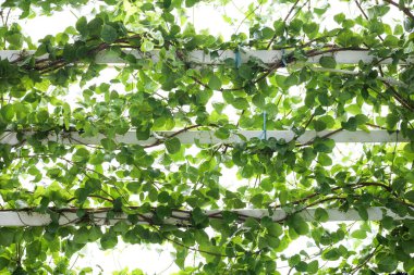 Izgaralı boş defter sayfası