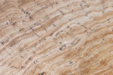 Close-up texture of natural travertine marble with wavy brown and beige patterns, showing unique geological layers and organic details. Suitable for backgrounds, surfaces, materials, or interior design concepts.