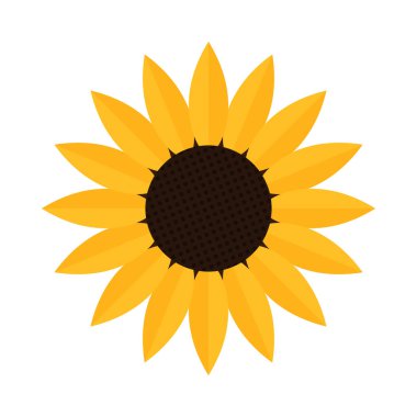 Beyaz arkaplanda izole edilmiş ayçiçeği simgesi