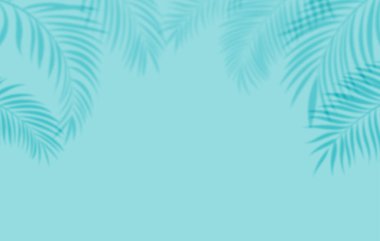 Açık mavi arkaplan üzerinde yumuşak palmiye yaprağı gölgeleri
