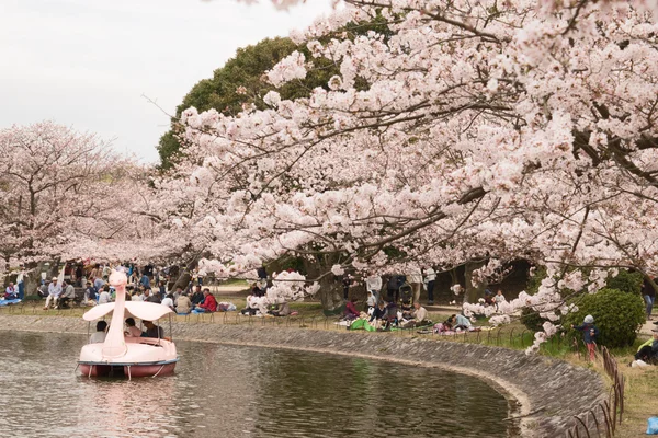 KOBE JAPAN  APRIL 3 Cherry blossom celebration — Stock Photo, Image