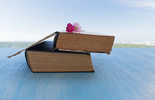 Livros antigos com flores fundo céu bonito — Fotografia de Stock