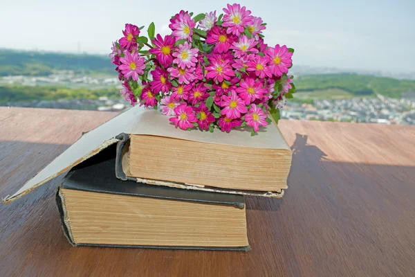 Livros antigos com flores fundo céu bonito — Fotografia de Stock