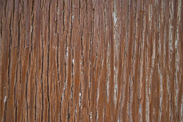 Brown wood texture. Abstract background Royalty Free Stock Images