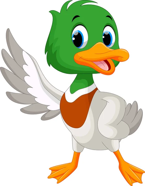 Duck pointing cartoon Vector Art Stock Images | Depositphotos Duck pointing cartoon Vector Art Stock Images | Depositphotos