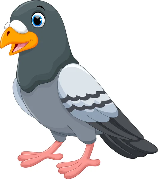 Desenhos animados de pombo bonito — Vetor de Stock