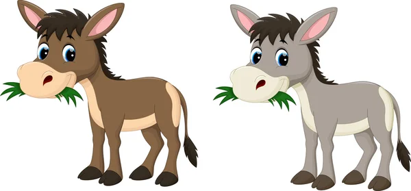 Divertido burro comiendo hierba — Vector de stock