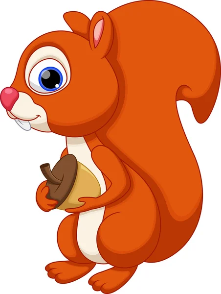 Squirrel cartoon — Stock Vector