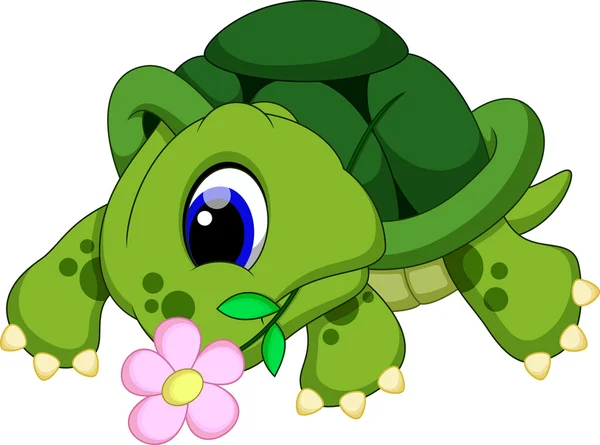 Lindo tortuga dibujos animados — Vector de stock