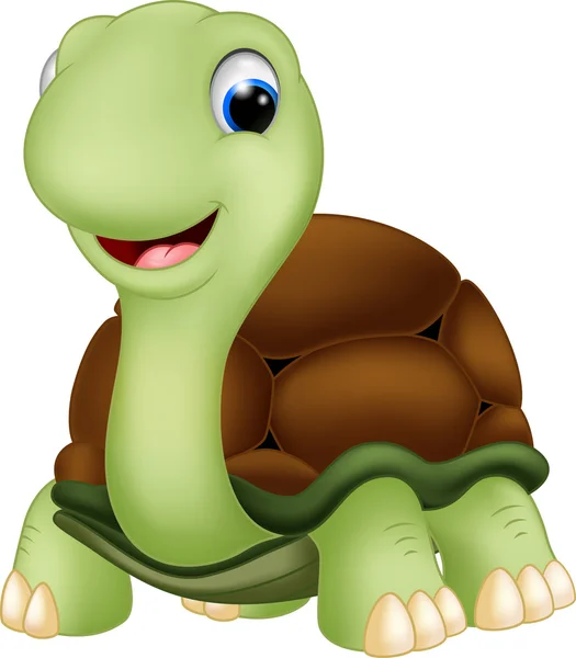 Cute turtle cartoon — Stock Vector