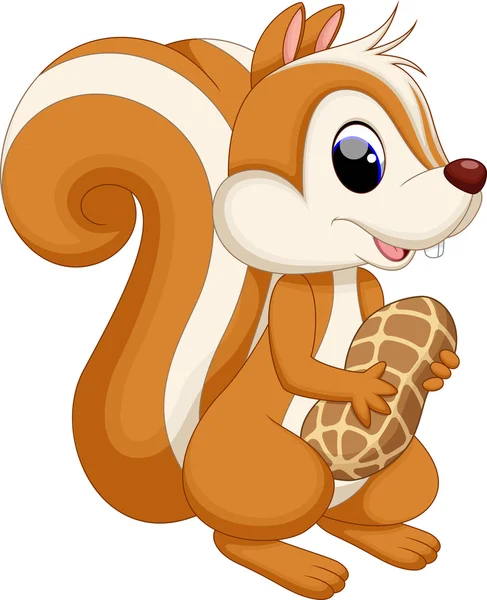 Cute squirrel cartoon — Stock Vector