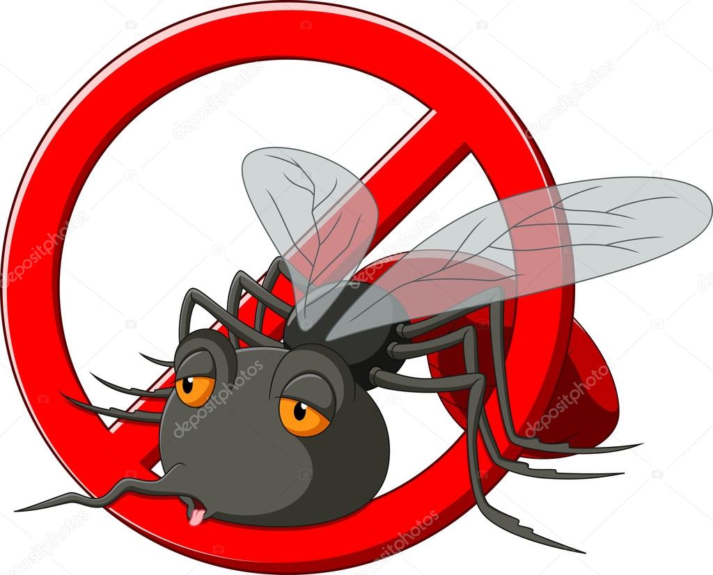 Mosquito cartoon